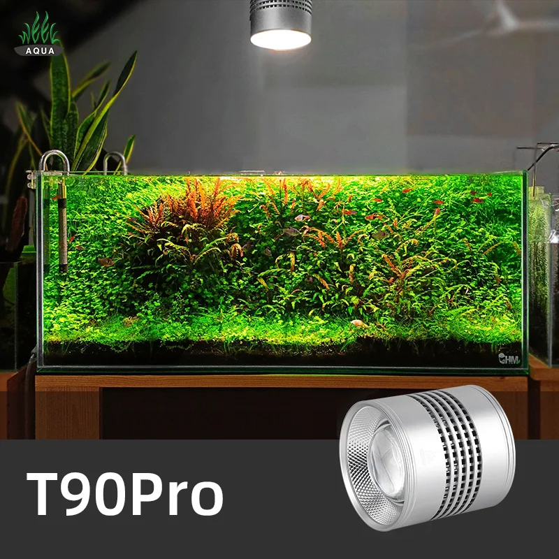 Aquarium Plant Not Growing - Settimana Aqua Serie T T90 Pro