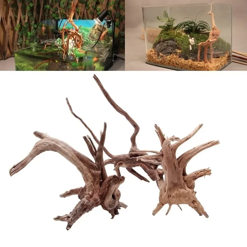 Aquarium Plant Guide - Tronco d'albero naturale Driftwood acquario acquario