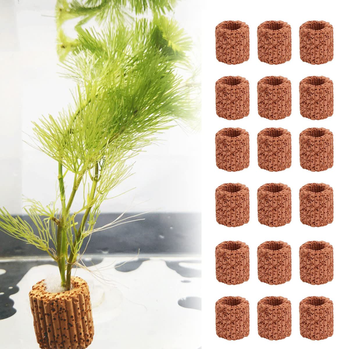 Aquarium Plant Display - 10/20Pcs Base ad anello fisso per