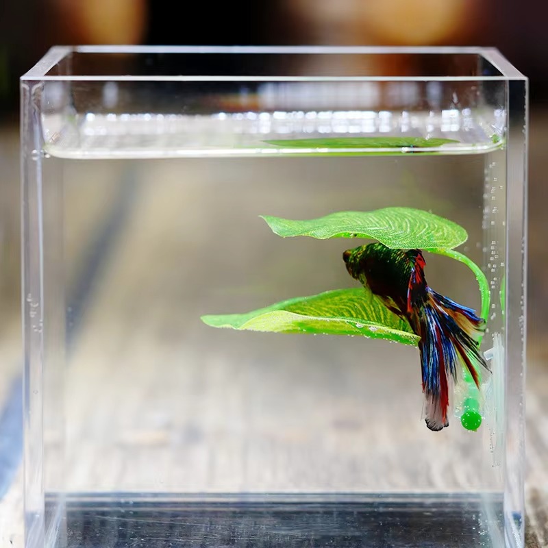 Planted Aquarium For Betta - Foglie Artificiali Decorative per Acquario, Piante