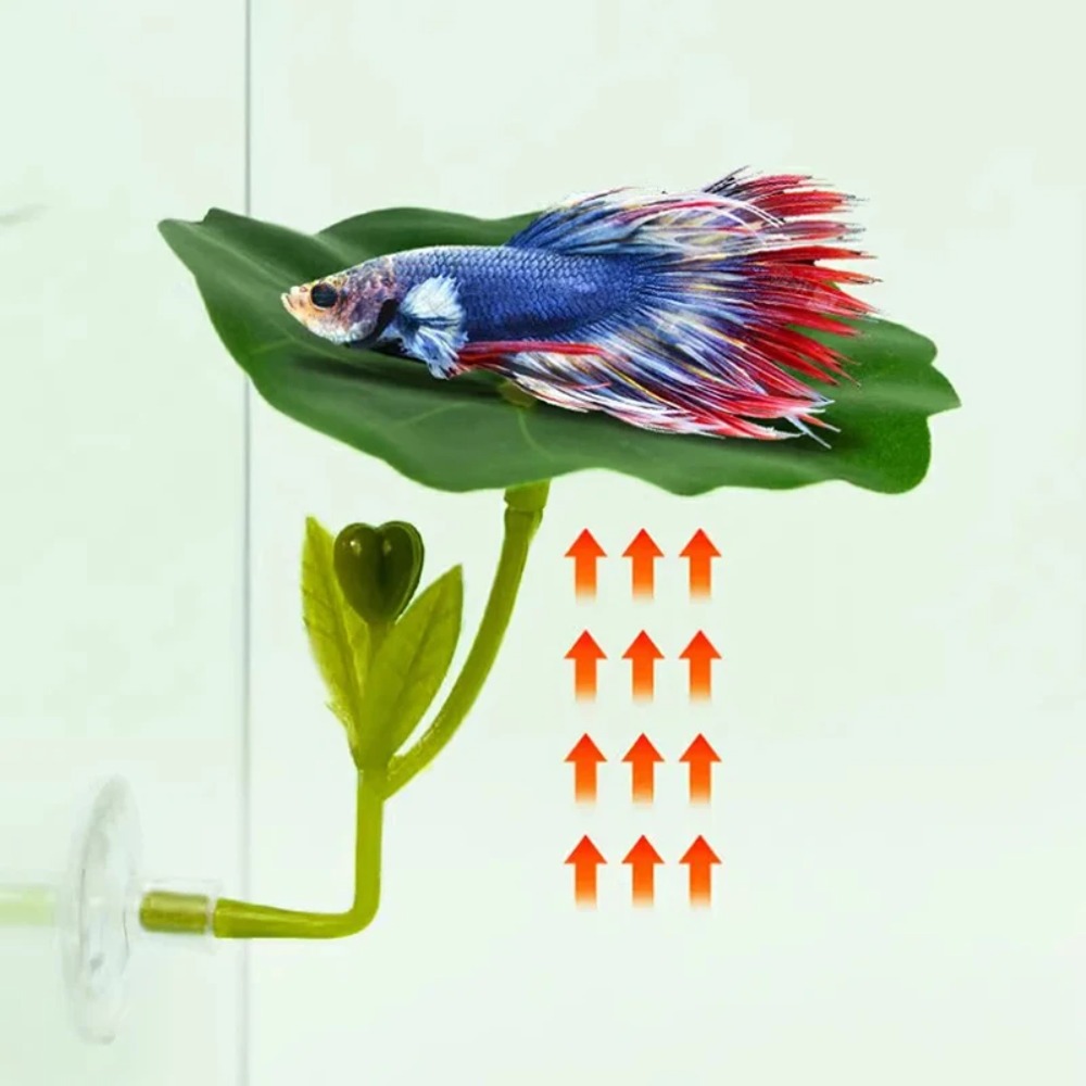 Planted Aquarium For Betta - 1 Pezzo Amaca per Pesci Betta