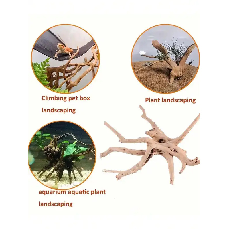 Legno Naturale per Decorazione - Aquarium Plant Guide recensione e prezzo