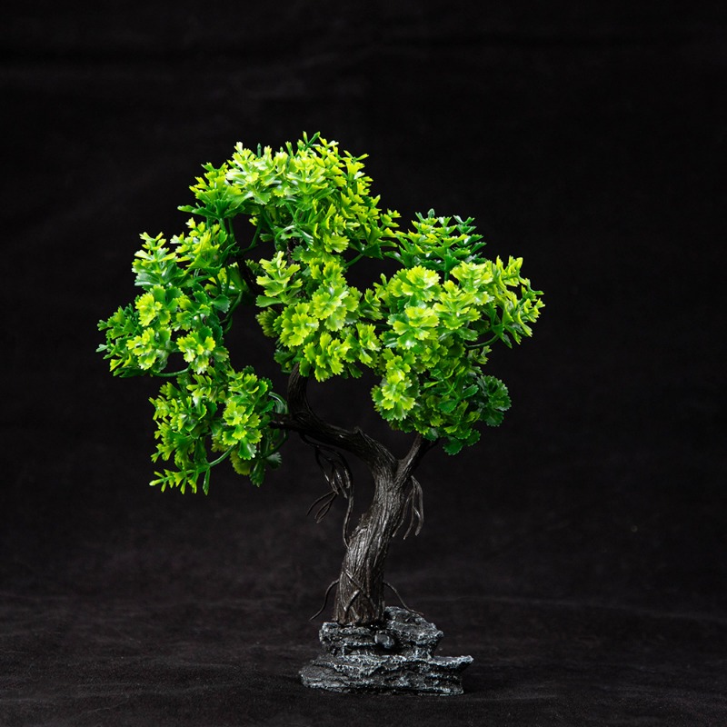 Nuova simulazione muschio albe - Aquarium Plant Guide recensione e prezzo