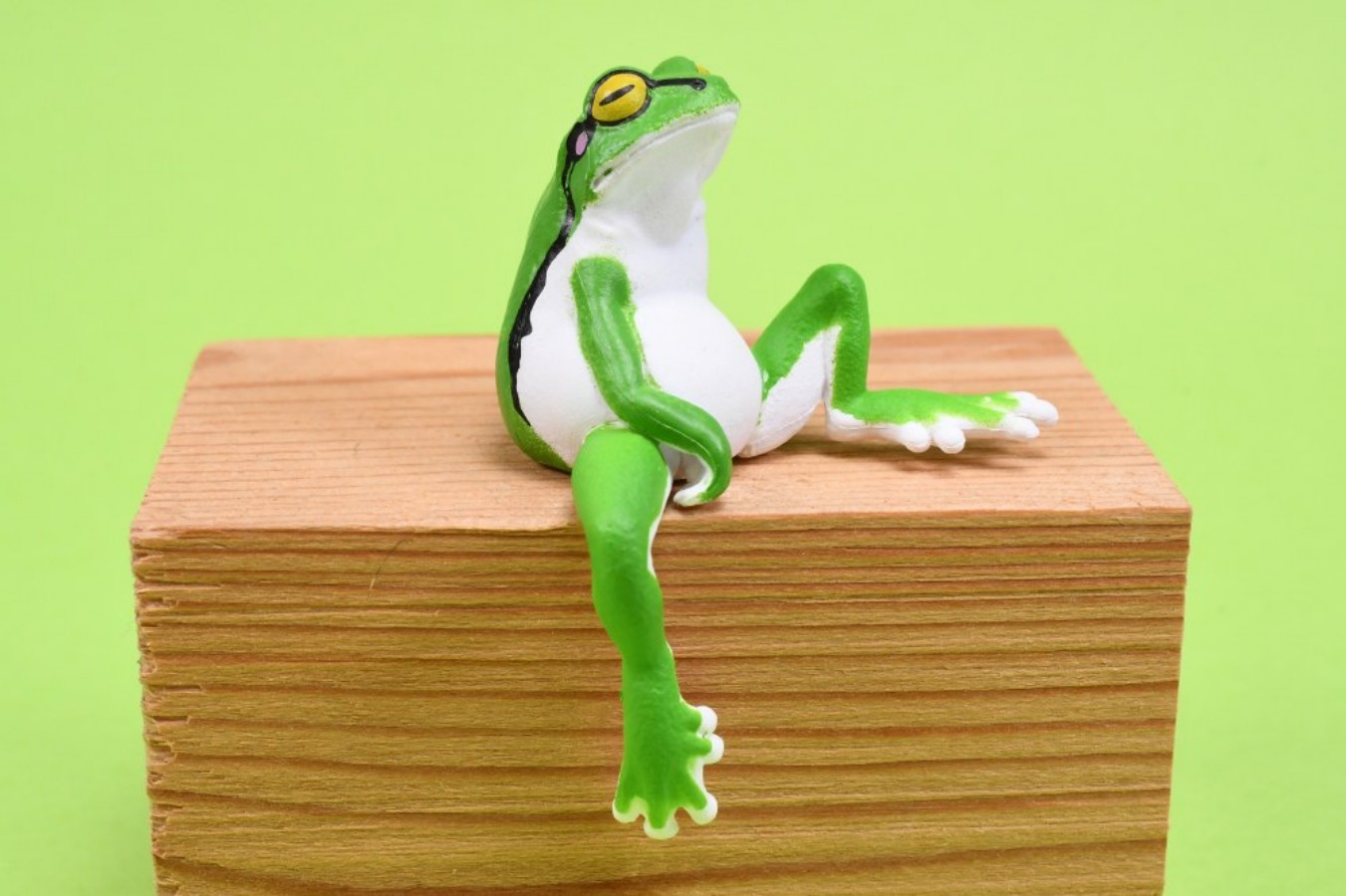 YELL Capsule Toys Kawaii Rana  - Aquarium Plant Guide recensione e prezzo