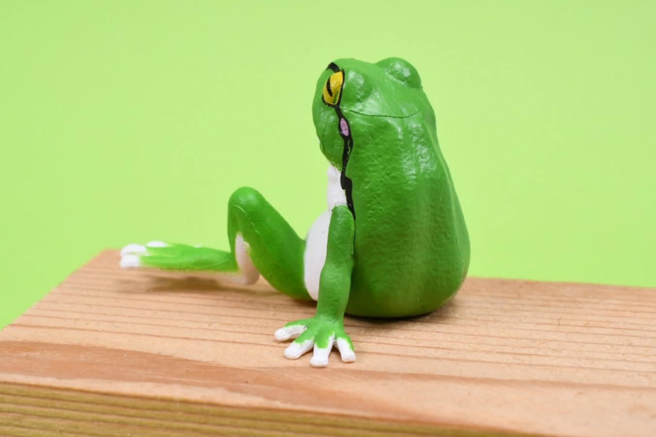 YELL Capsule Toys Kawaii Rana  - Aquarium Plant Guide recensione e prezzo