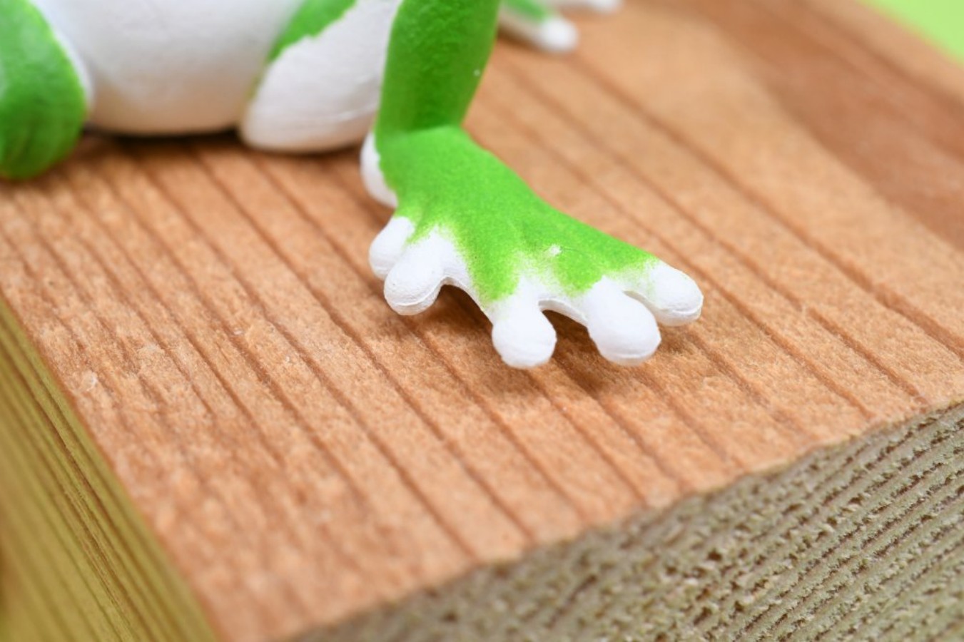 YELL Capsule Toys Kawaii Rana  - Aquarium Plant Guide recensione e prezzo