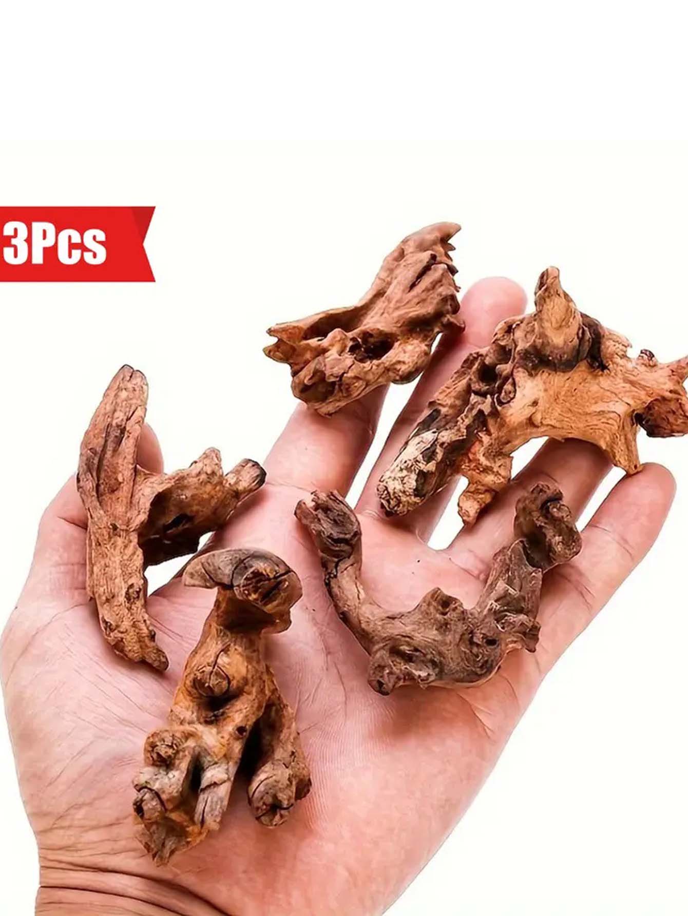 5-10 CM Piccolo Tronco di Albe - Aquarium Plant Guide recensione e prezzo