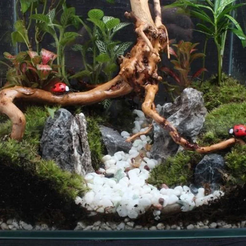 Tronco d'albero naturale Drift - Aquarium Plant Guide recensione e prezzo