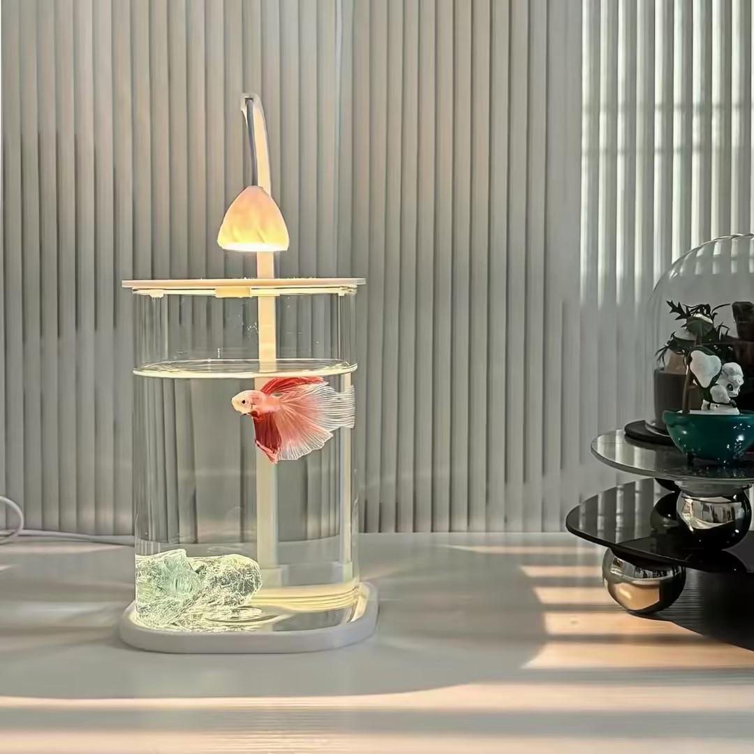 360 °   Acquario Panoramico Tr - Planted Aquarium For Betta recensione e prezzo