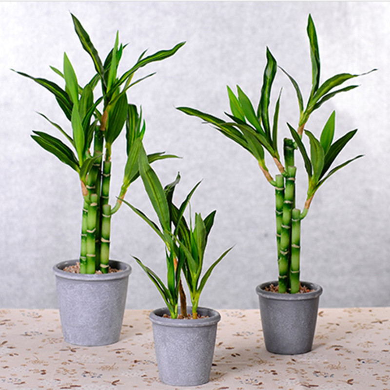 Nuovo 40 cm rFtificial Lucky B - Aquarium Plant Display recensione e prezzo