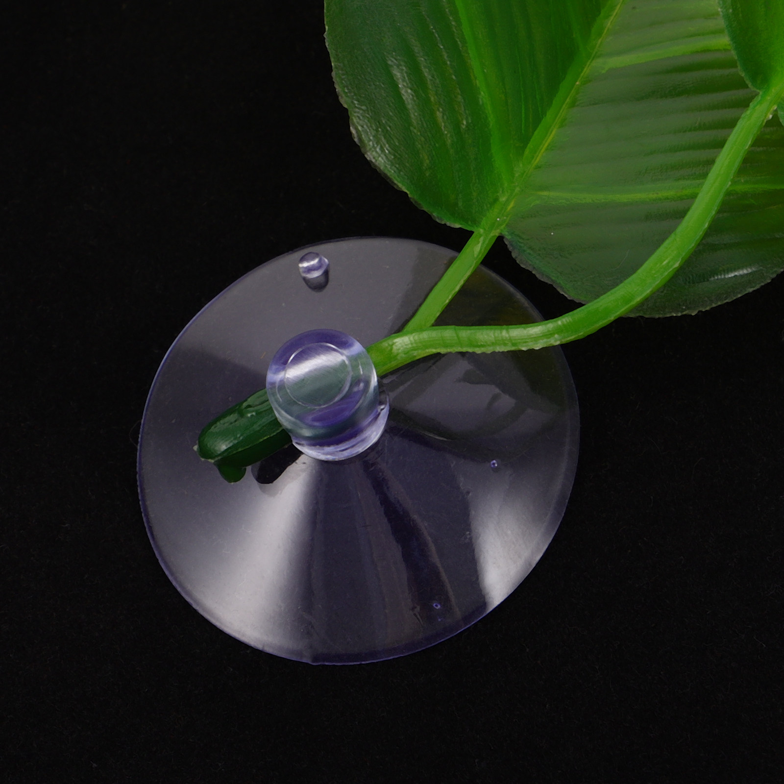 5 pezzi di foglie artificiali  - Planted Aquarium For Betta recensione e prezzo