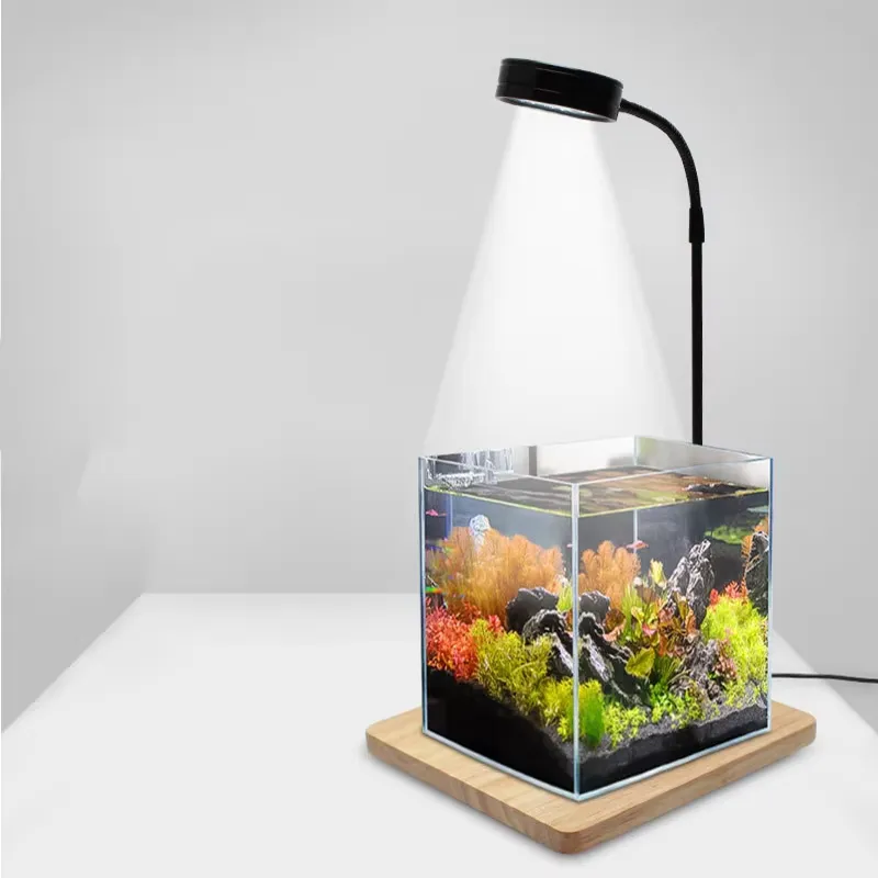 Luce LED a Spettro Completo co - Planted Aquarium For Betta recensione e prezzo