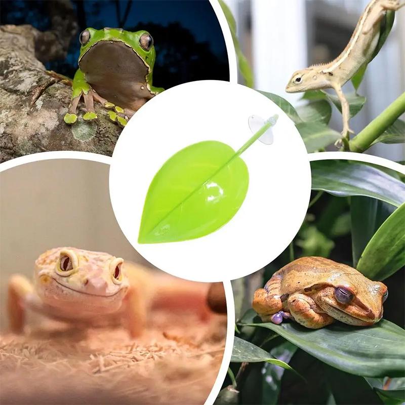 Accessori per Acquario, Letto  - Planted Aquarium For Betta recensione e prezzo