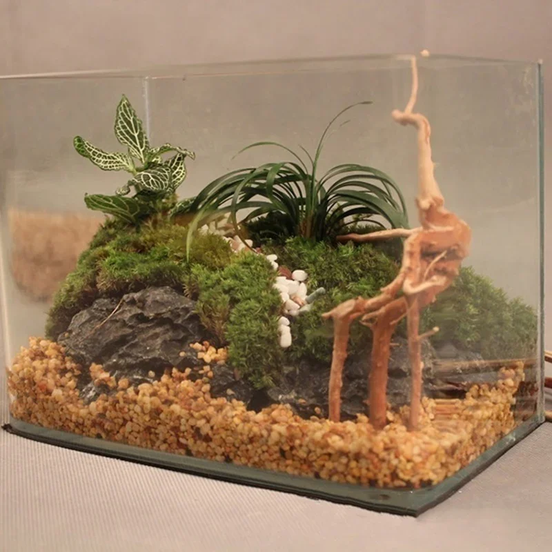 Tronco d'Albero Naturale per A - Aquarium Plant Guide recensione e prezzo