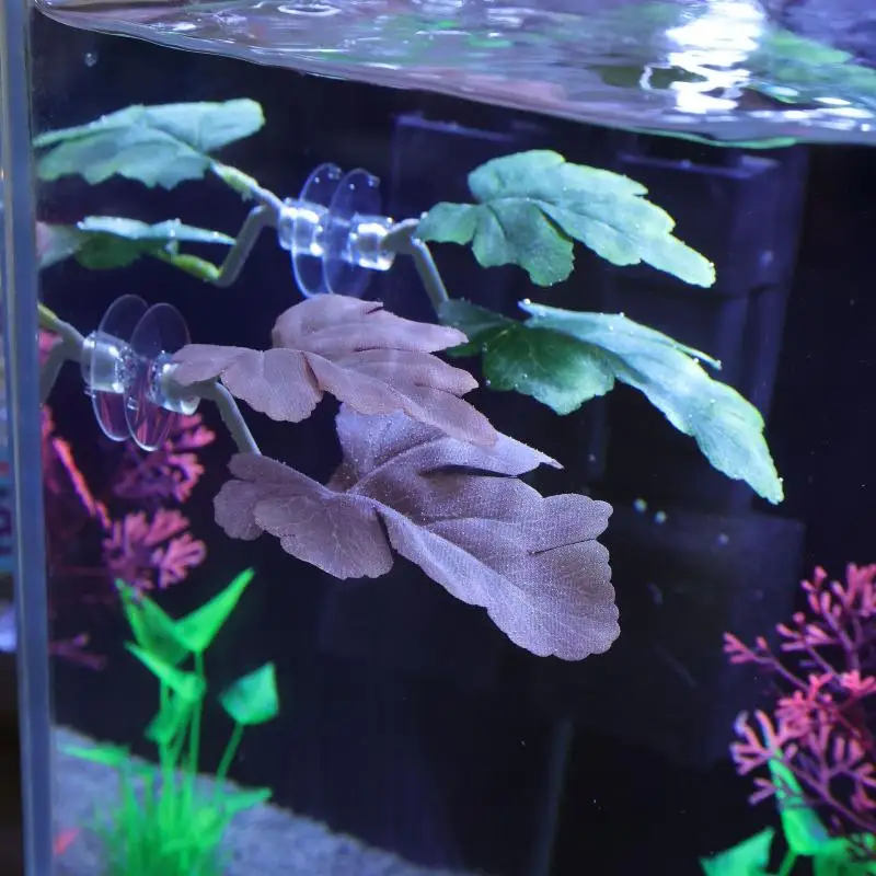 Amaca per foglie di pesce Bett - Planted Aquarium For Betta recensione e prezzo