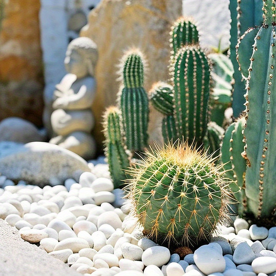 200/400g Bianco Alto Lucido Ci - Aquarium Plant Display recensione e prezzo