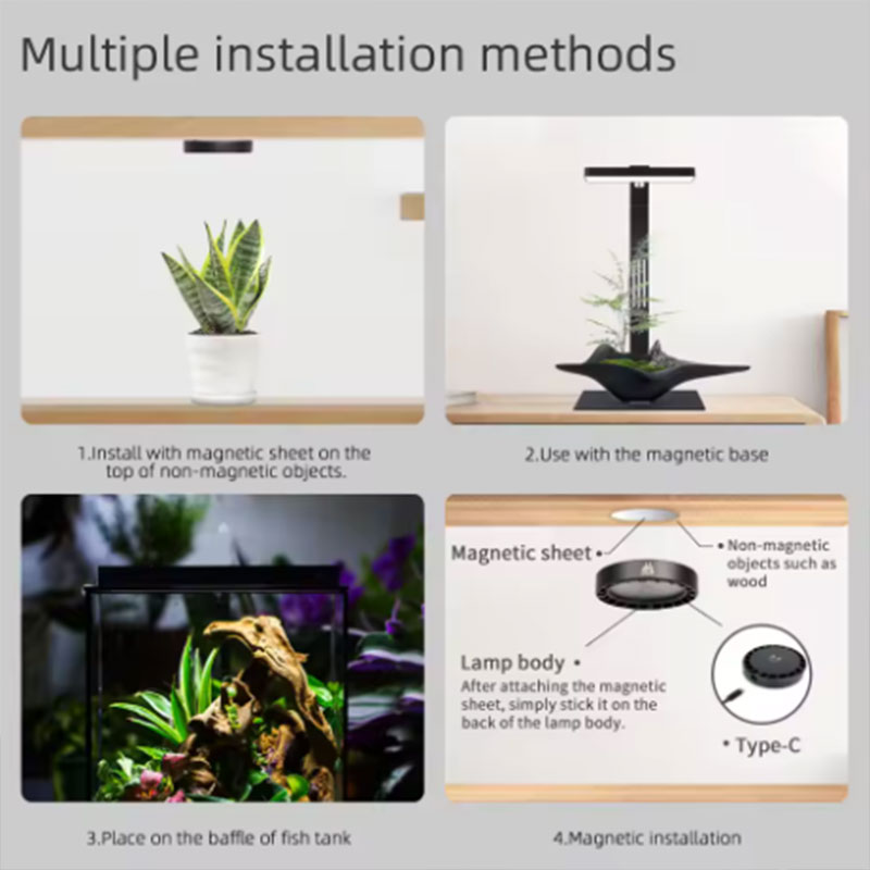 Lampada per Crescita Piante WE - Aquarium Plant Ornament recensione e prezzo