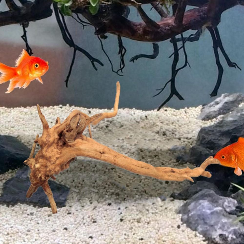 Tronco d'albero naturale decor - Aquarium Plant Guide recensione e prezzo