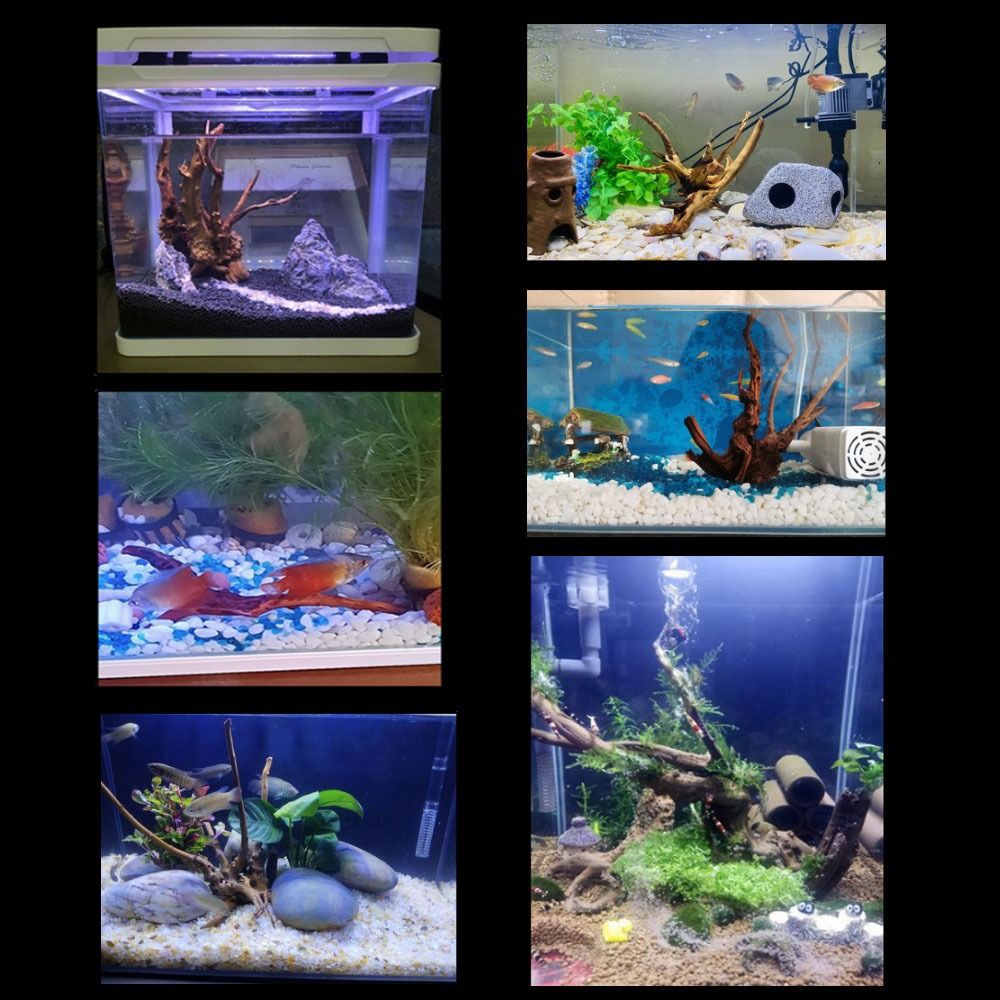 Tronco d'albero naturale decor - Aquarium Plant Guide recensione e prezzo