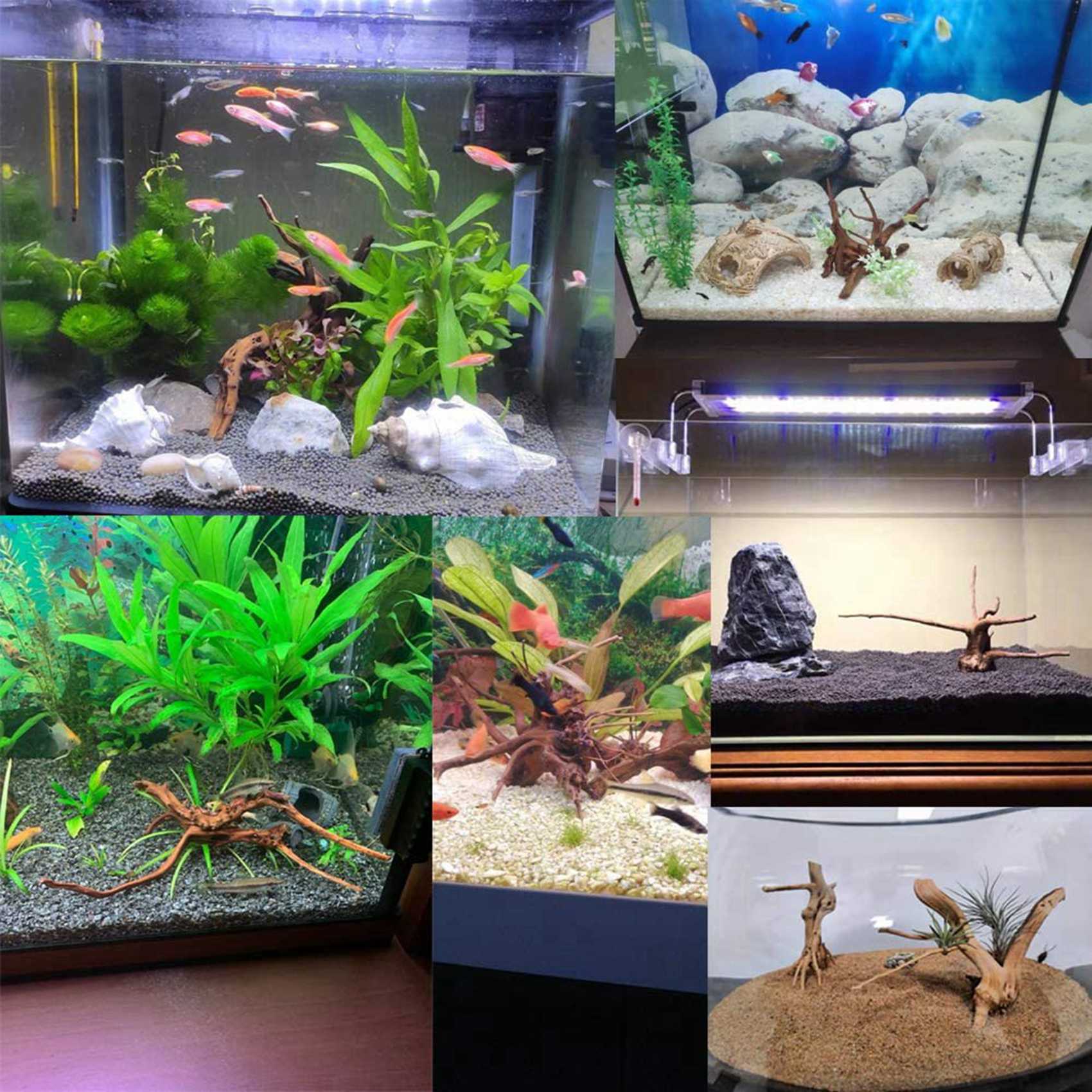 Vendita calda-Mini legni alla  - Aquarium Plant Guide recensione e prezzo