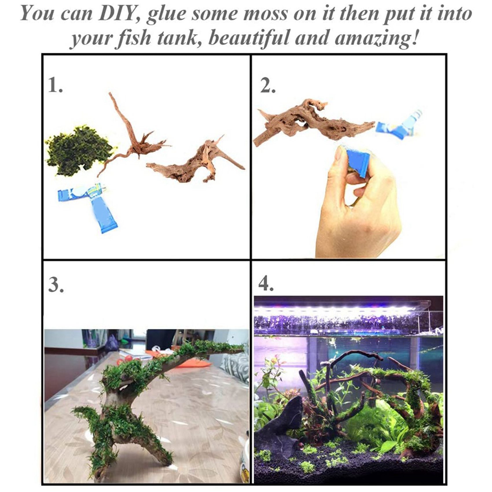 Vendita calda-Mini legni alla  - Aquarium Plant Guide recensione e prezzo