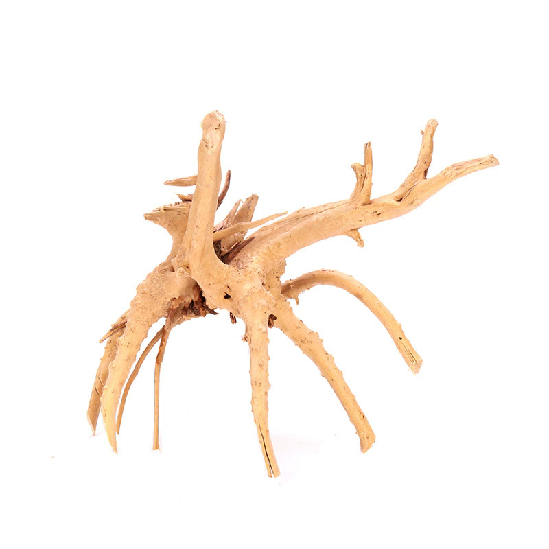 4 Pezzi Decorazioni Naturali i - Aquarium Plant Guide recensione e prezzo