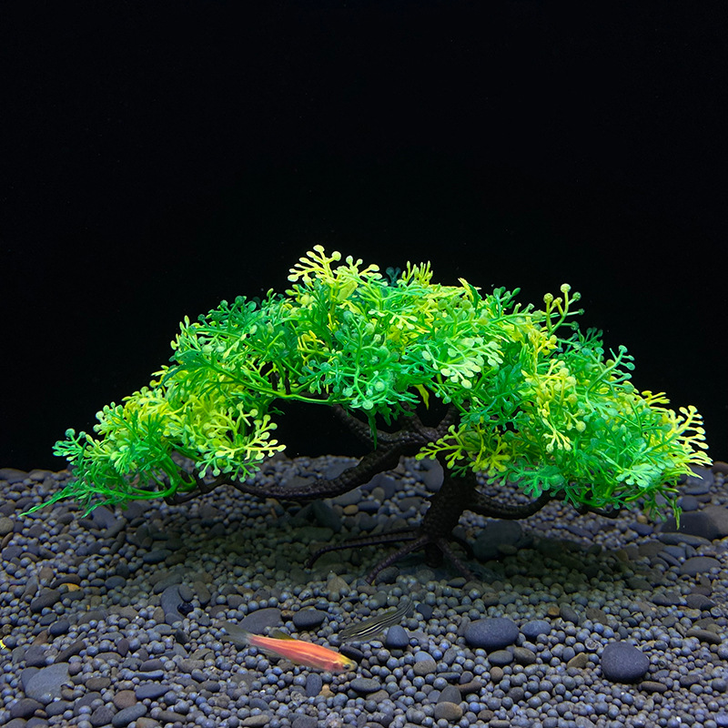 Albero bonsai dell'acquario, p - Aquarium Plant Guide recensione e prezzo
