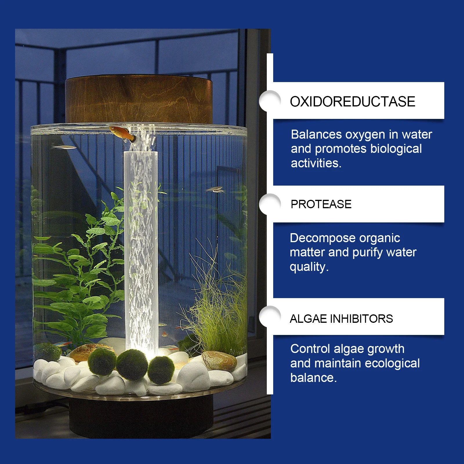 Chiarificatore d'acqua per acq - Aquarium Plant Liquid Fertilizer recensione e prezzo