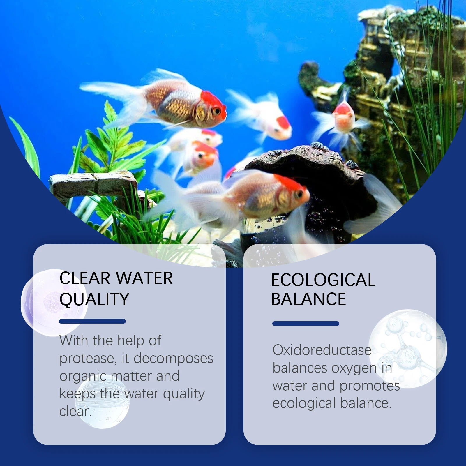 Chiarificatore d'acqua per acq - Aquarium Plant Liquid Fertilizer recensione e prezzo