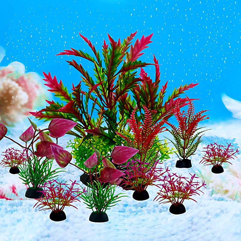 10 pezzi acquario fai da te ac - Aquarium Plant Display recensione e prezzo