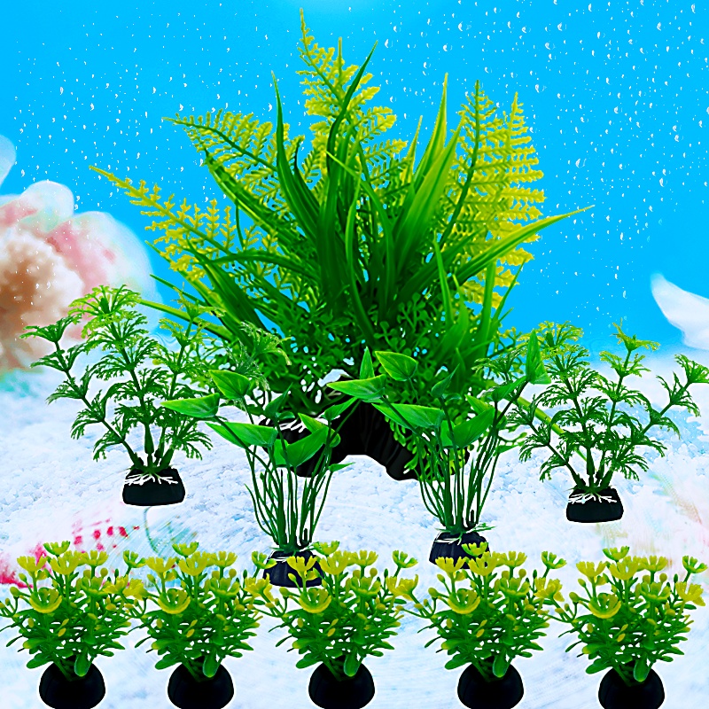 10 pezzi acquario fai da te ac - Aquarium Plant Display recensione e prezzo