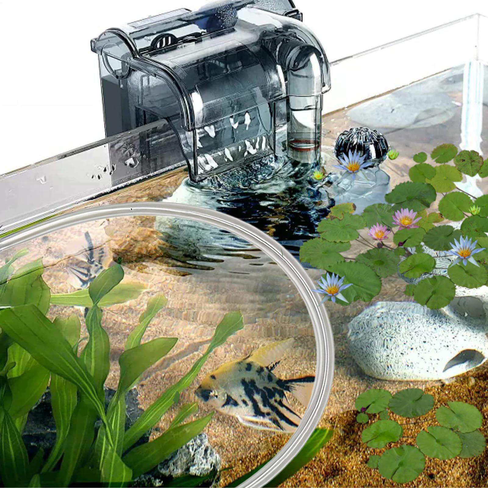 Barriera Galleggiante per Pian - Planted Aquarium For Betta recensione e prezzo
