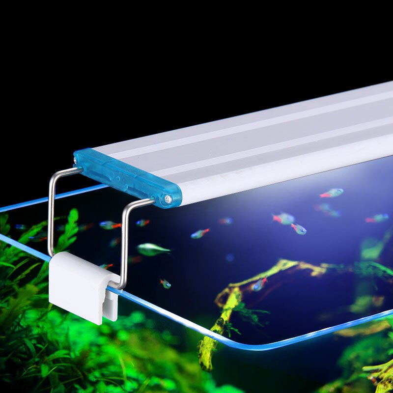 Clip impermeabile estensibile  - Aquarium Plant Display recensione e prezzo
