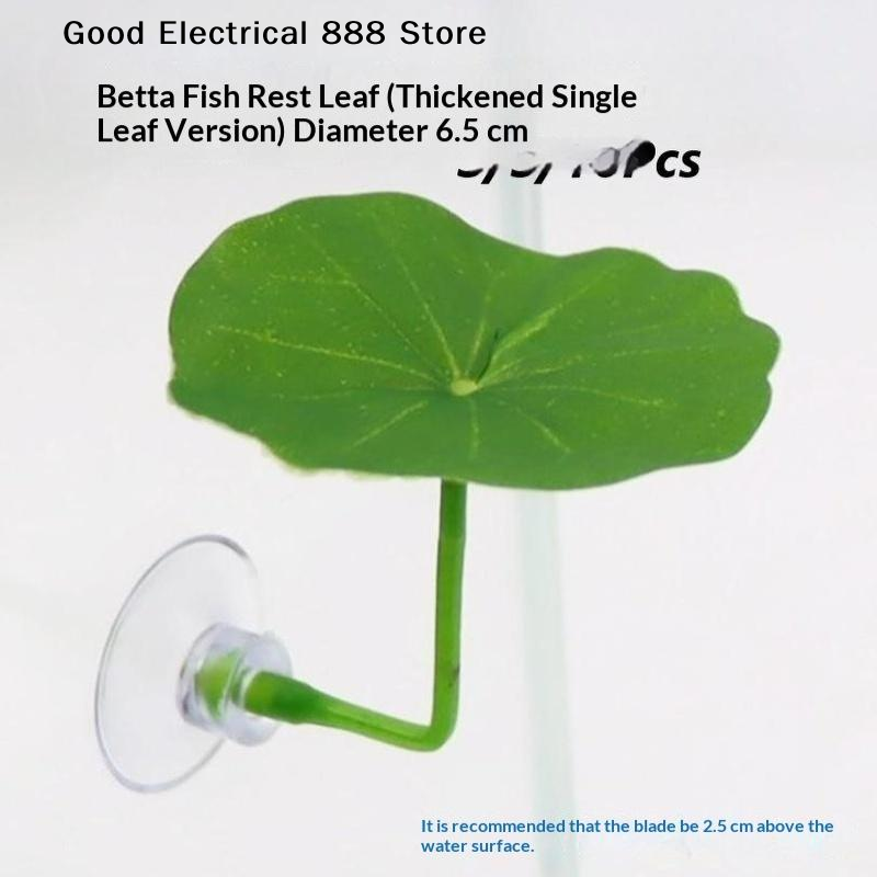 【G】3/5/10 Pezzi Foglia di Loto - Planted Aquarium For Betta recensione e prezzo
