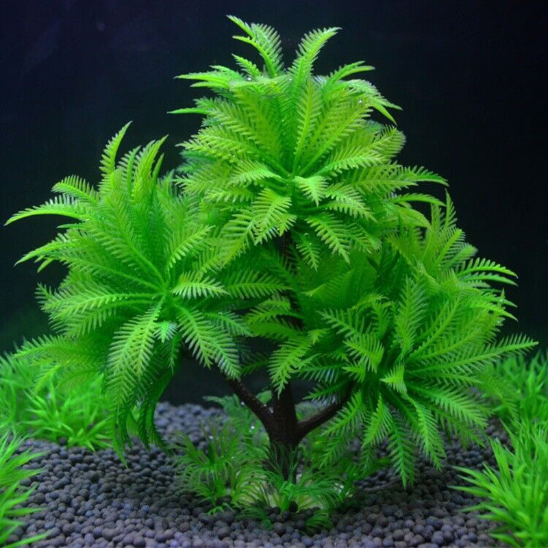 Acquario Pianta di simulazione - Aquarium Plant Guide recensione e prezzo