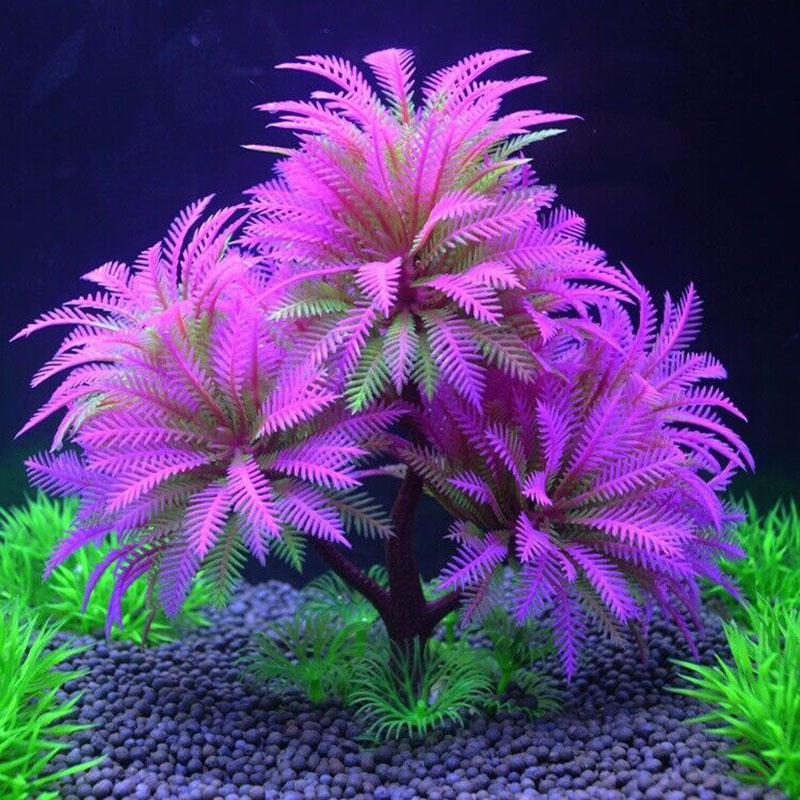 Acquario Pianta di simulazione - Aquarium Plant Guide recensione e prezzo
